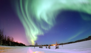 Northern lights visible with snow 