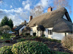 thatch roof