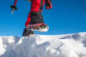 snowhshoe