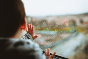 protection from the elements 