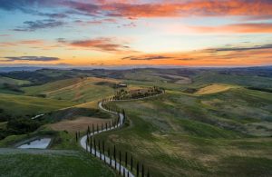 Country road winding through green Tuscan hills at golden hour