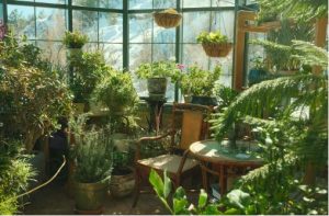 greenhouse