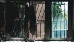 window