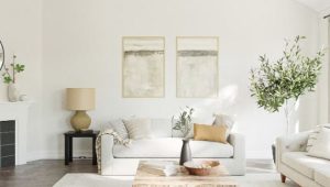 white couch family home 